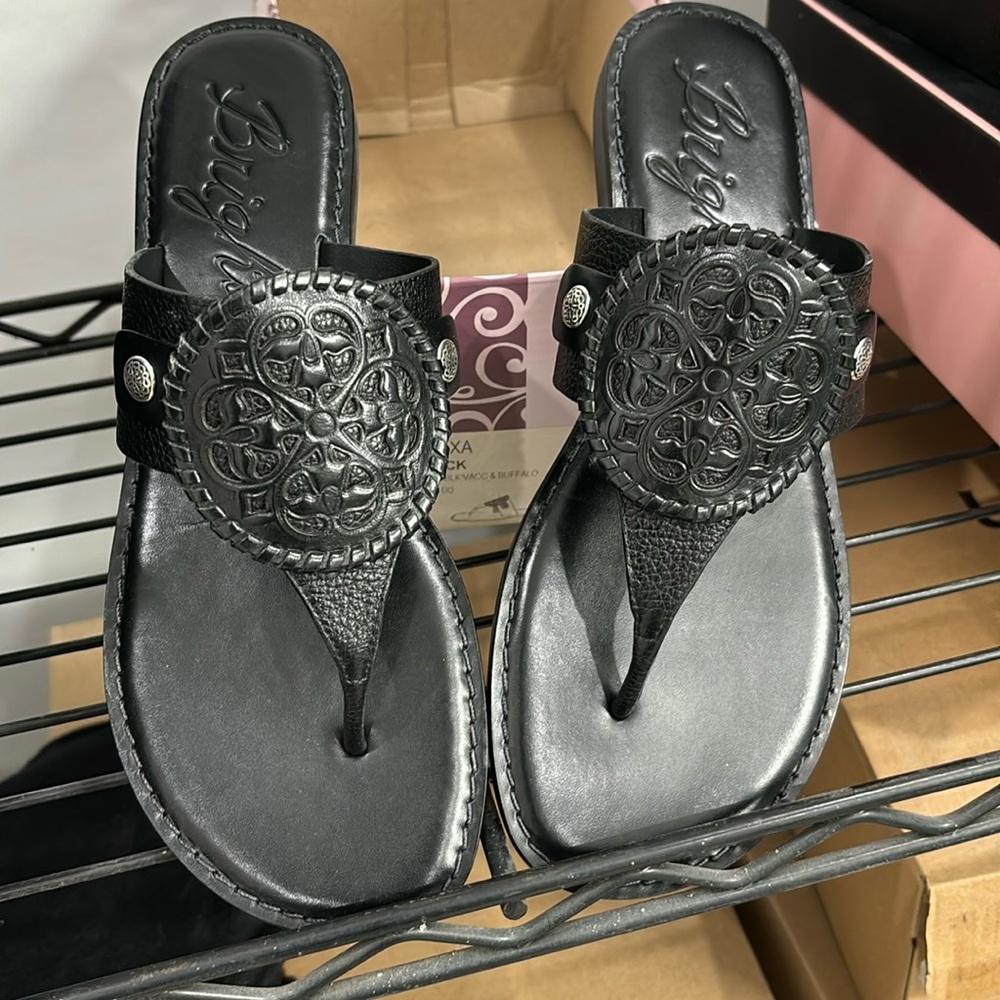 Brighton shoes only warn once